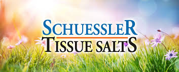 The Twelve Tissue Salts explained