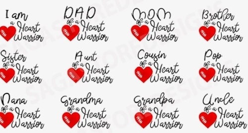 Top 7 Homeopathic Remedies when Supporting a Heart Warrior
