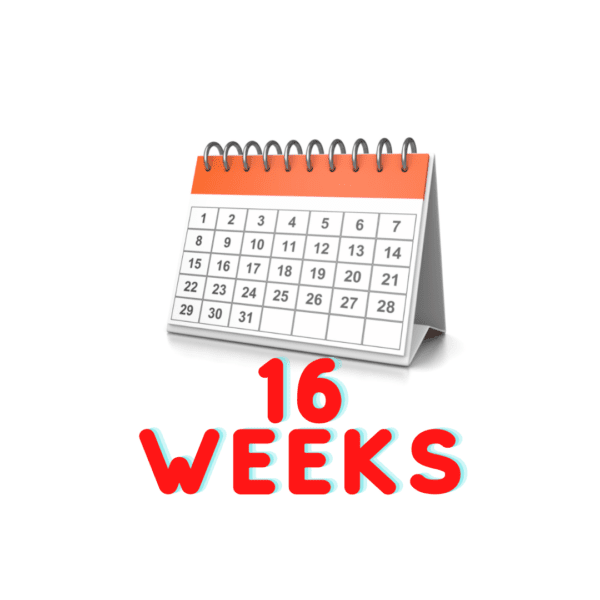 16-Weeks-(Flyer)(Instagram-Post)(1)