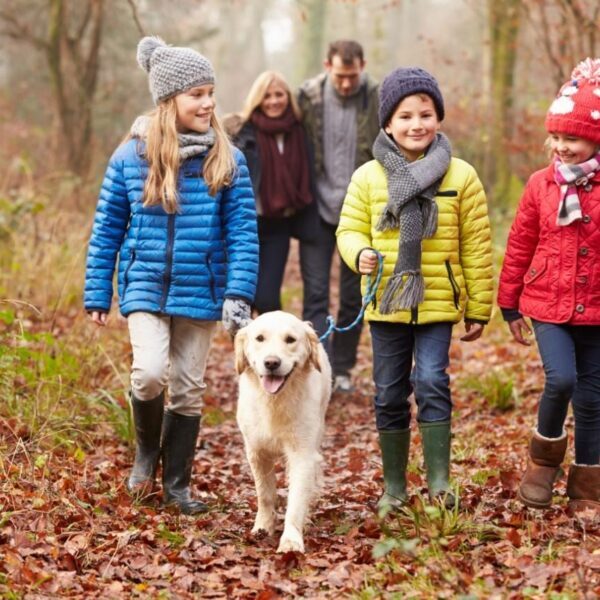 Walking the dog.jpg