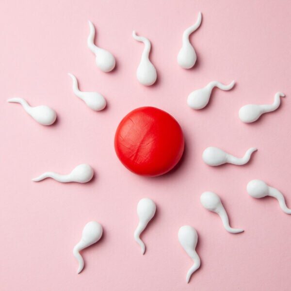Active,Sperm,Cells,Swim,To,The,Egg,On,A,Pink